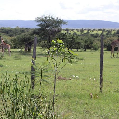 Hotel Kambu Mara Camp Sekenani Exterior foto